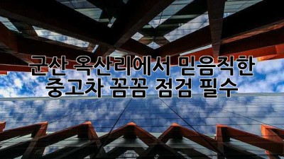 군산 옥산리에서 믿음직한 중고차, 꼼꼼 점검 필수! 🚗