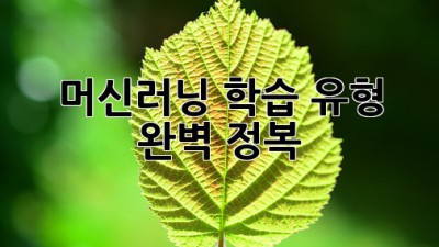 머신러닝 학습 유형 완벽 정복 🤖✨