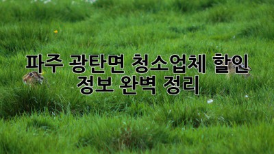 파주 광탄면 청소업체 할인 정보 완벽 정리! ✨
