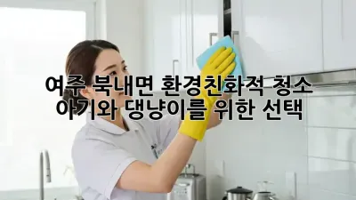 여주 북내면🏡 환경친화적 청소🌿: 아기와 댕냥이를 위한 선택!